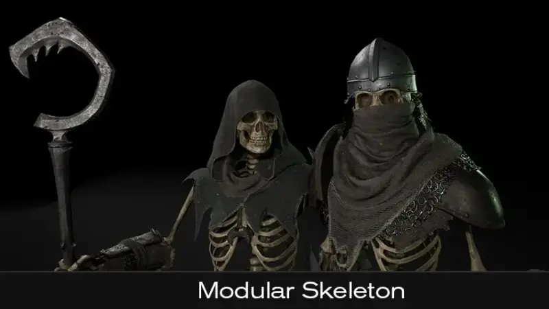 Modular Skeleton Modular Skeleton