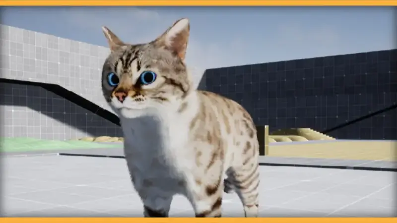 AnimX: Advanced Cats