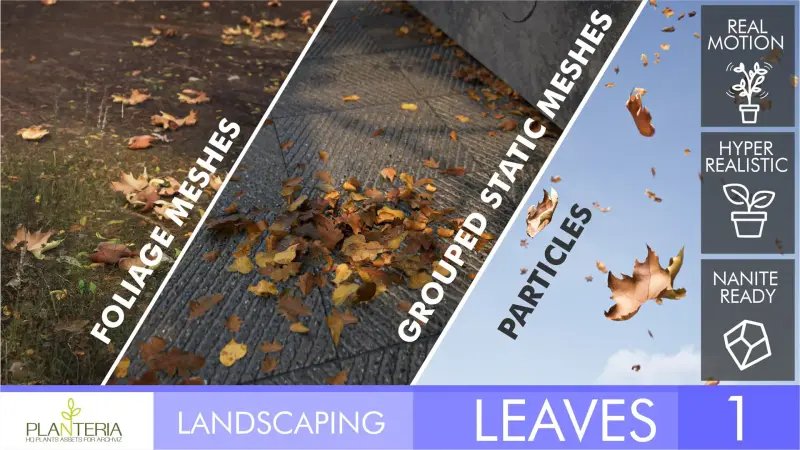 Landscaping Leaves