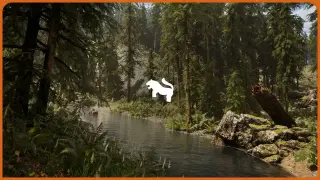 Hemlock Forest / Jungle