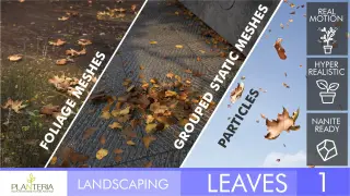 Landscaping Leaves