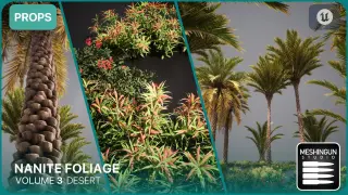 Nanite Foliage Vol3 Desert